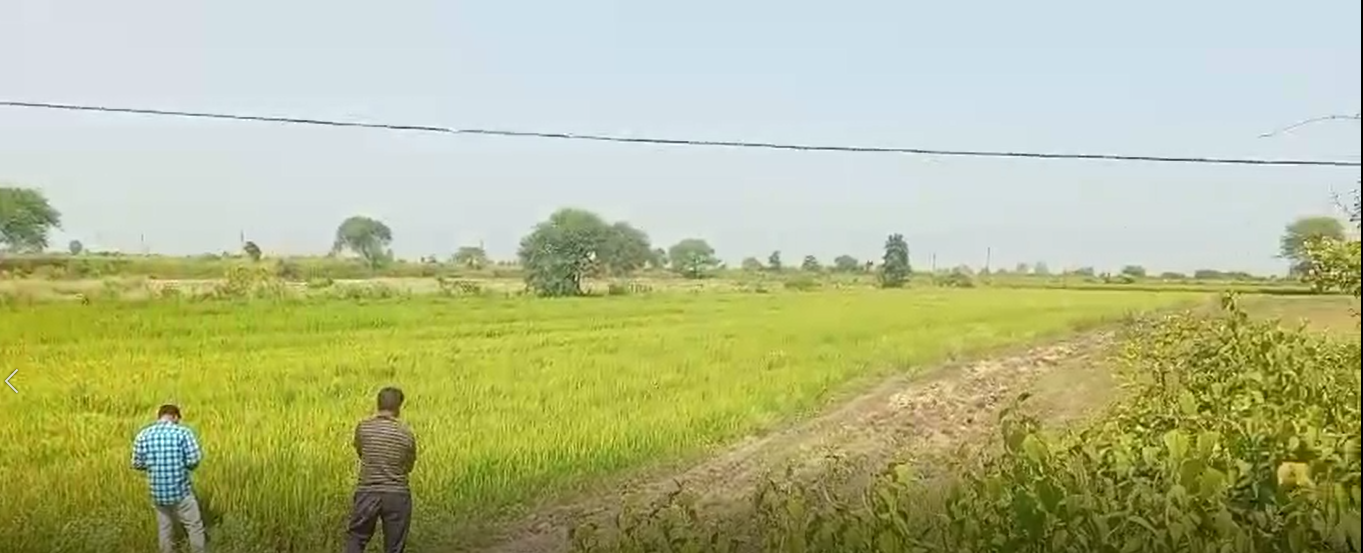 2.10 Acres of Agricultural Land