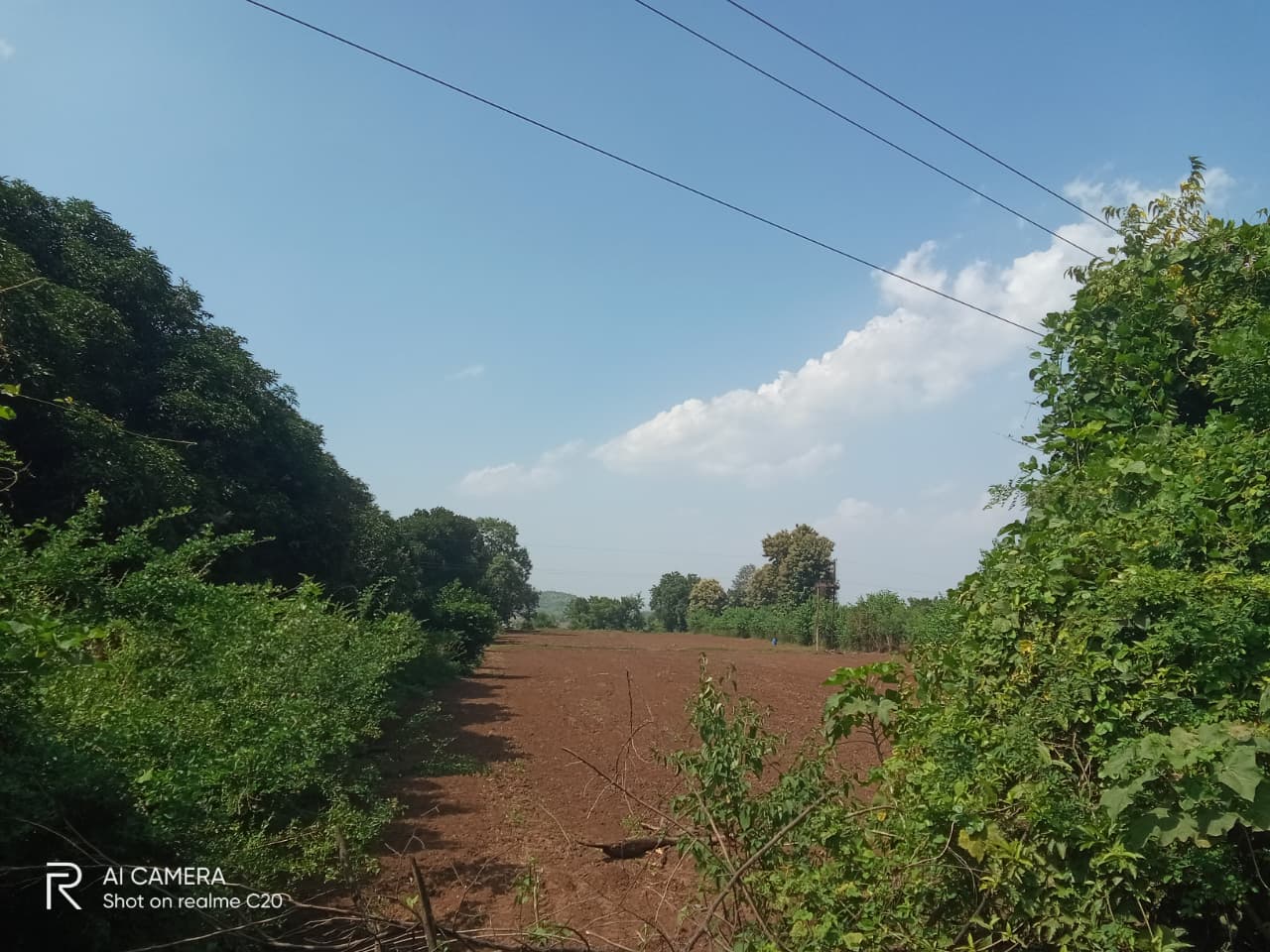 3-acre Agricultural Land